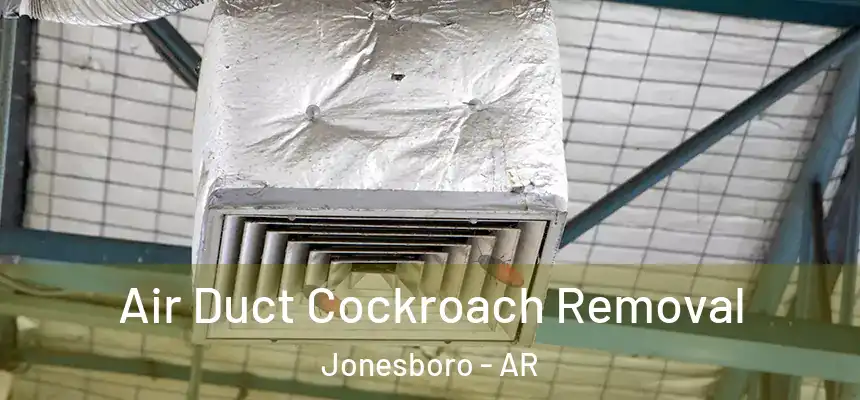 Air Duct Cockroach Removal Jonesboro - AR