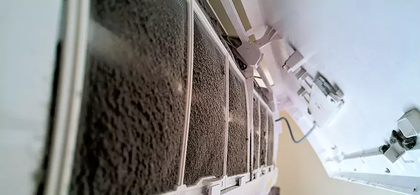 Preventive Air Duct Bacteria Removal in Jonesboro