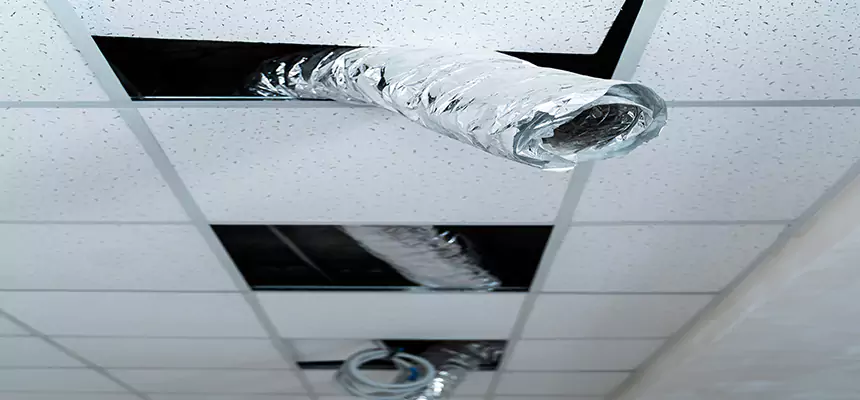 Our Air Duct Pet Hair Removal Services in Jonesboro, AR