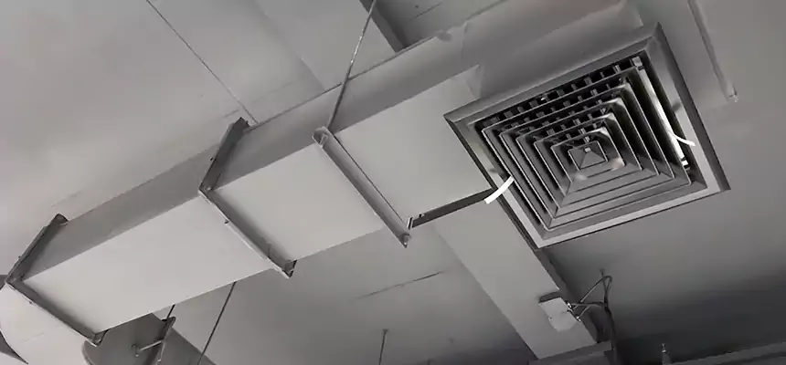 Restorative Allergy Relief Vent Cleaning – Coil, Blower & Housing Detail in Jonesboro