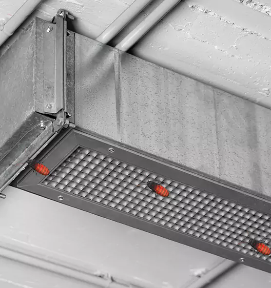 About Air Duct Cockroach Removal in Jonesboro, AR