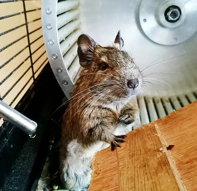 Why Homeowners & Businesses Trust Us Jonesboro, AR