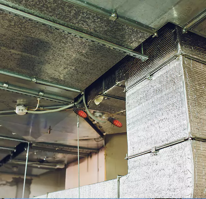 Why Homeowners & Businesses Trust Us Jonesboro, AR?